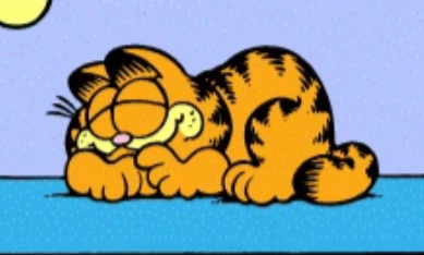 Garfield sleeping on the ground with a content smile
