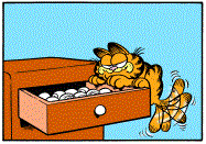 Garfield peaking into Jons sock drawer, his tail swishing