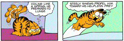 Garfield is crouched with his tail swishing before pouncing