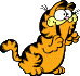 Garfield sitting up, excitedly begging.