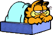 Garfield tucked into bed, resting his hands on the edge of his bed box.