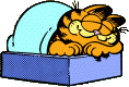 Garfield sleeping in bed, content, 1979.
