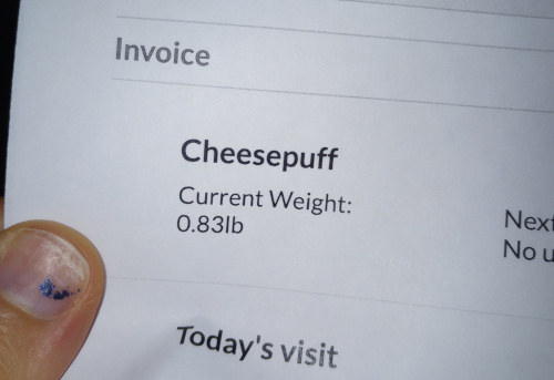 vet document that records Cheesepuffs weight as 0.83lb.