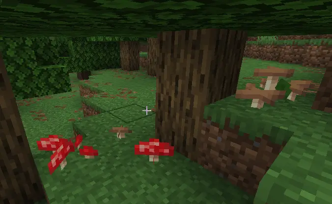 screenshot of a few small red and brown mushrooms.