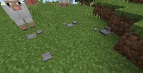 Screenshot of some grey pebbles on the grass.