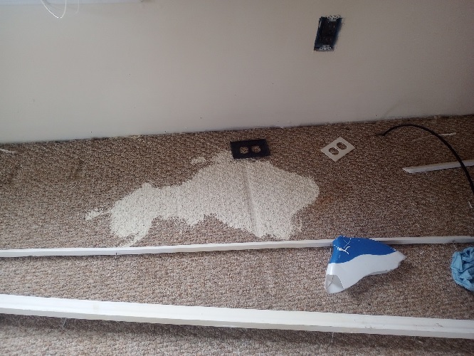 A large splotch of white paint on carpet.