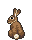 brown bunny with a white tail sitting with its back towards the viewer.