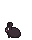 Small black baby bunny.