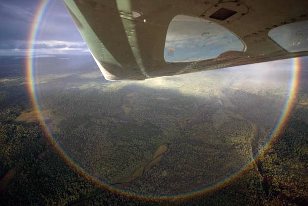 Three fifths of a circular rainbow, partially covered by a plane wing. Viewed against a foresty landscape and cloudy sky.