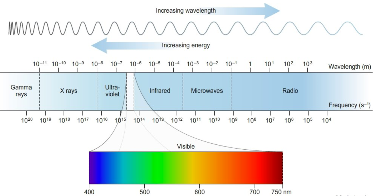 diagram of the electromagnetic spectrum. From smallest to longest wavelength: Gamma rays, X rays, ultra violet, visable spectrum, infrared, microwaves, and radio waves.