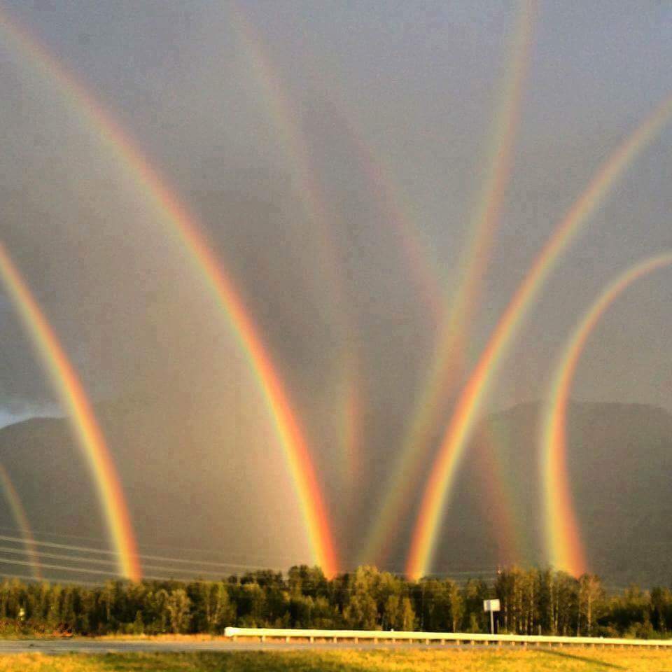 eight sporadic rainbows over a treeline infront of mountains