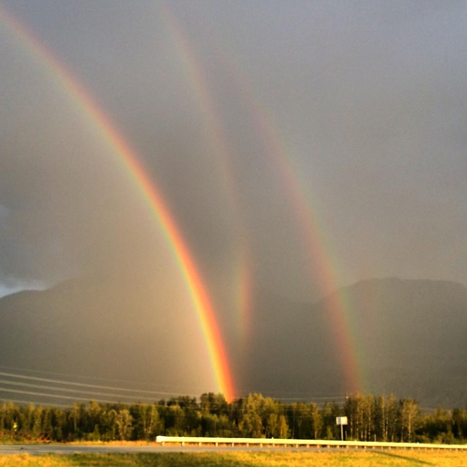 three rainbows over a treeline infront of mountains
