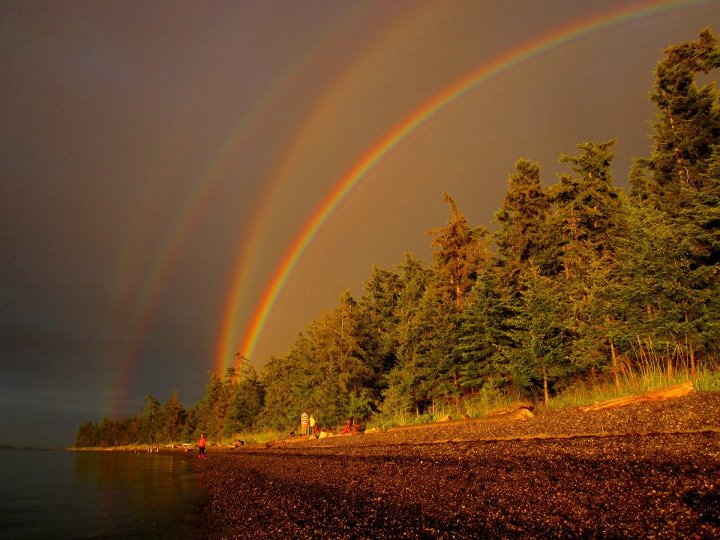 Four rainbows over evergreen trees on a rocky shore. The lighting is dim and golden.