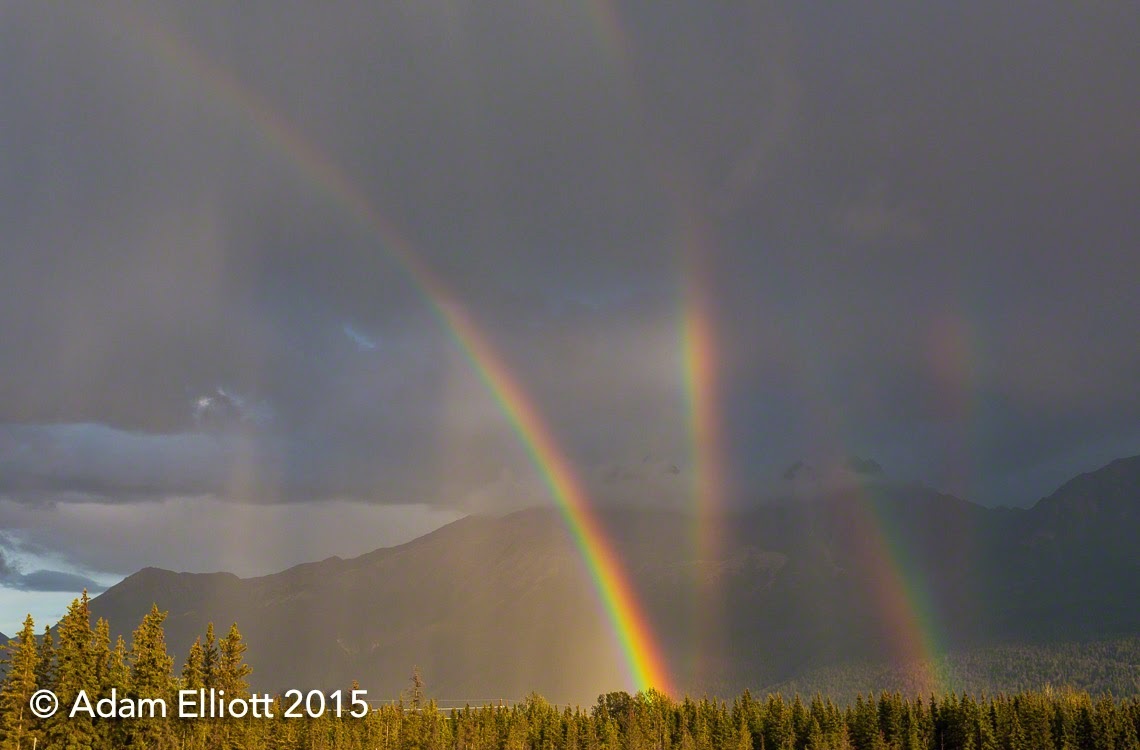 three rainbows with a hint of a fourth, over a treeline infront of mountains
