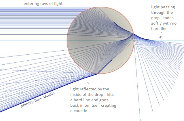 detailed diagram showing many rays of light entering a water droplet. The rays pass right through the drop and also reflect off of the other side before passing through. The unreflected light flares out across from the entrance light. The reflected light goes towards the entrance light and flares downward, but then the rays stop flaring downward and flare upward instead, forming a hard line.