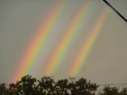 three soft rainbows above a treeline