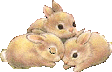 illustration of three baby bunnies