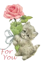 illustration of a kitten holding up a rose
